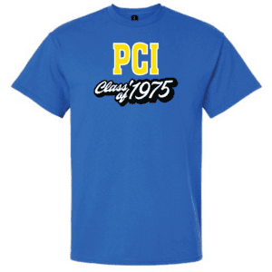 G200 Gildan Ultra Cotton T-Shirt - Royal